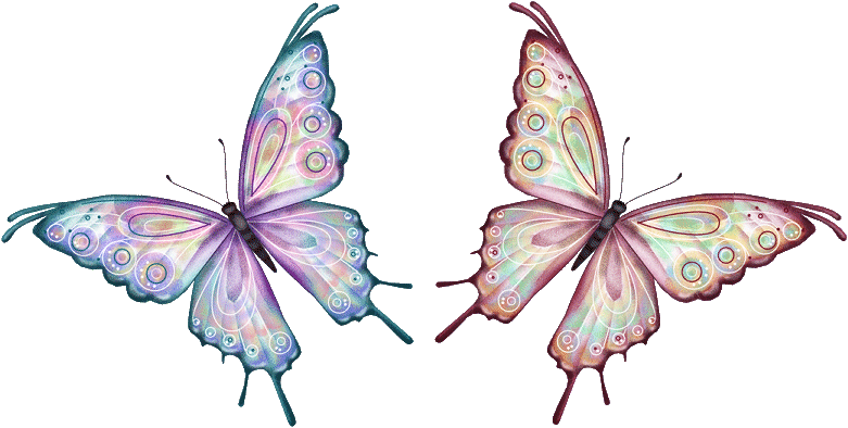 papillons (22).gif